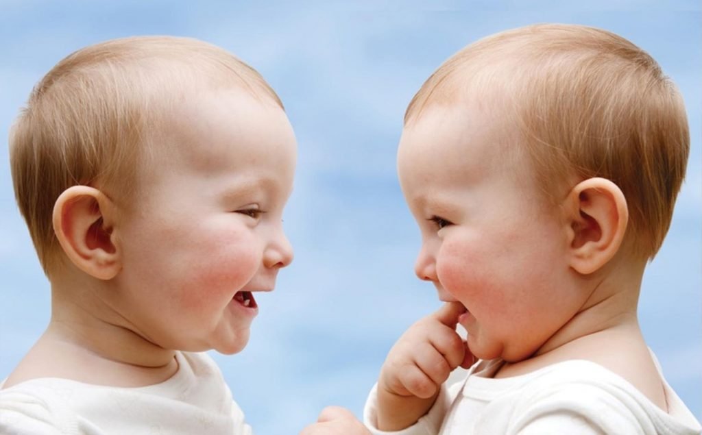 Conceive Twins Naturally: Womb Health & Fertility Herbs | TikTok